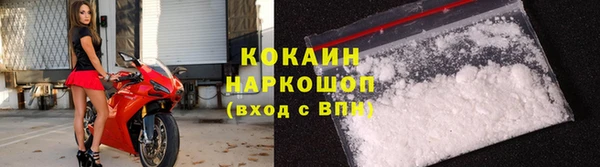 прущие грибы Краснослободск