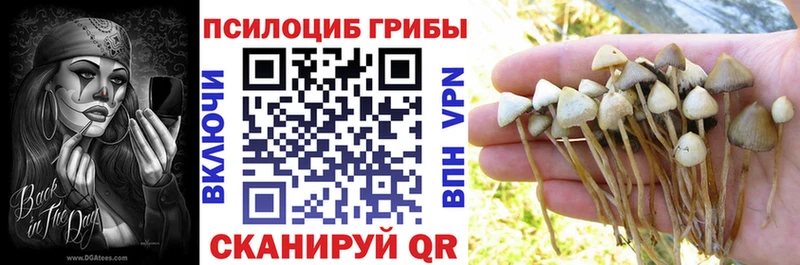 Псилоцибиновые грибы прущие грибы  дарнет шоп  Корсаков 